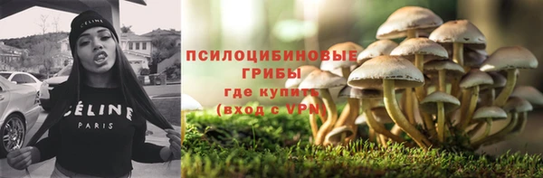 spice Баксан