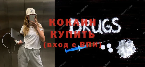 шишки Балахна