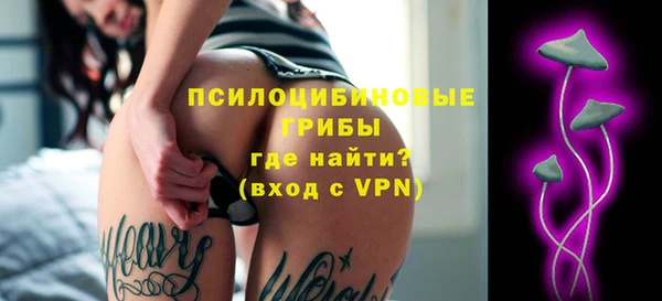 шишки Балахна
