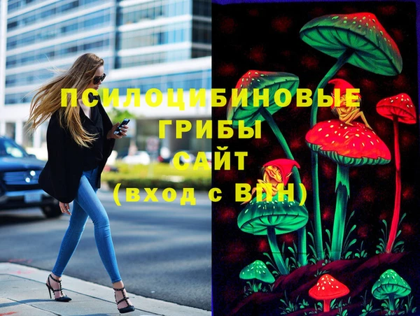 шишки Балахна