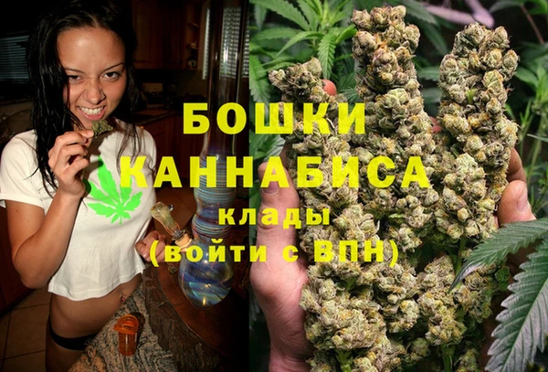 шишки Балахна