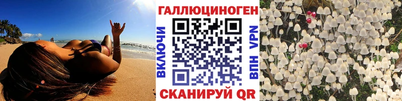 OMG ссылка  Белозерск  Псилоцибиновые грибы Psilocybe 